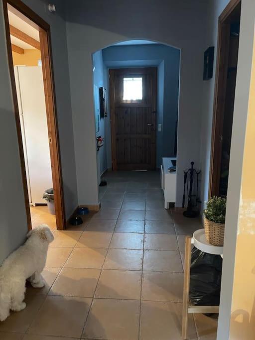 Casa en Riudaura,La garrotxa Villa Exterior foto